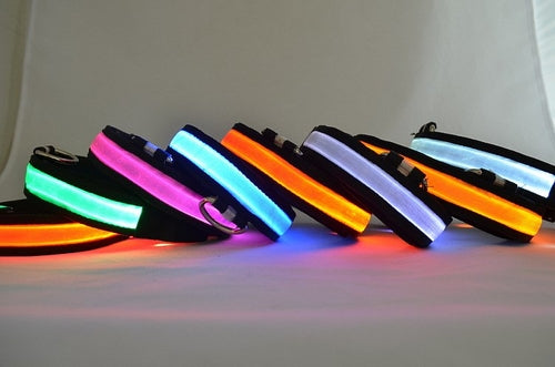 LED svetleča ovratnica za pse